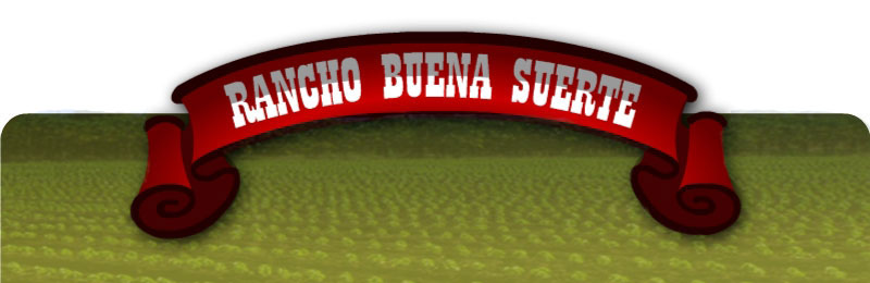 Rancho Buena Suerte